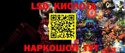 спиды Бийск