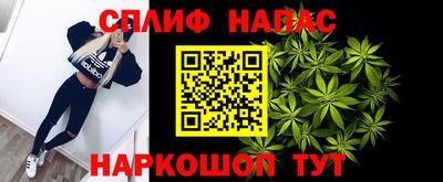 спиды Бийск