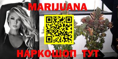 спиды Бийск