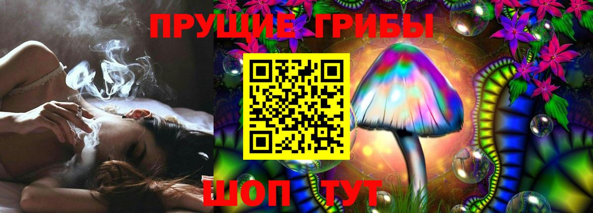 Галлюциногенные грибы прущие грибы  Вход с VPN  Кировск 
